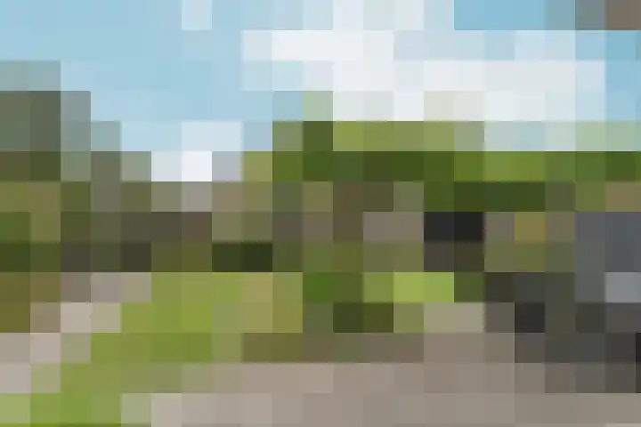 de Garde 10 Zelhem thumbnail 20