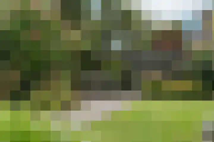 de Garde 10 Zelhem thumbnail 21