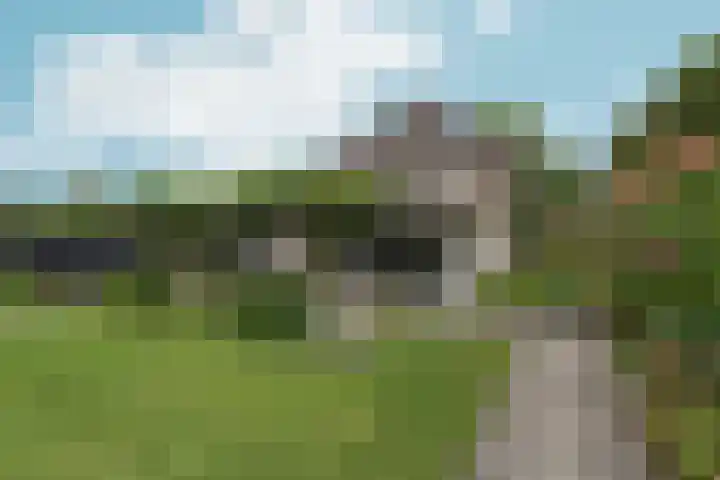 de Garde 10 Zelhem thumbnail 22