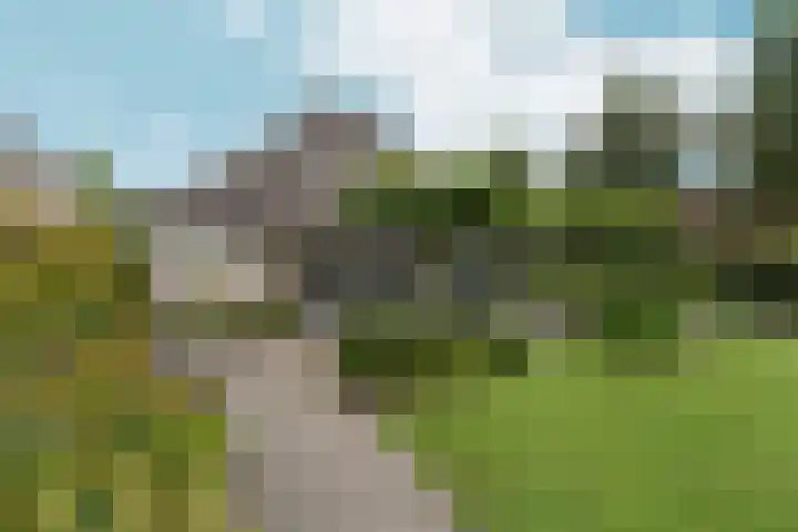 de Garde 10 Zelhem thumbnail 24