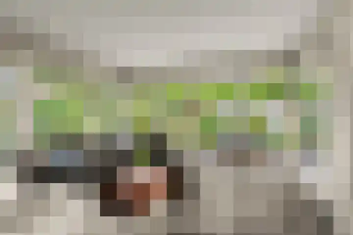 de Garde 10 Zelhem thumbnail 4