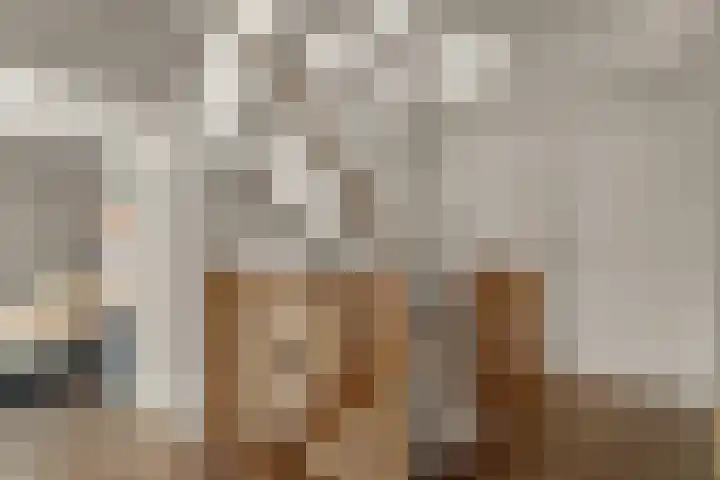 de Garde 10 Zelhem thumbnail 45