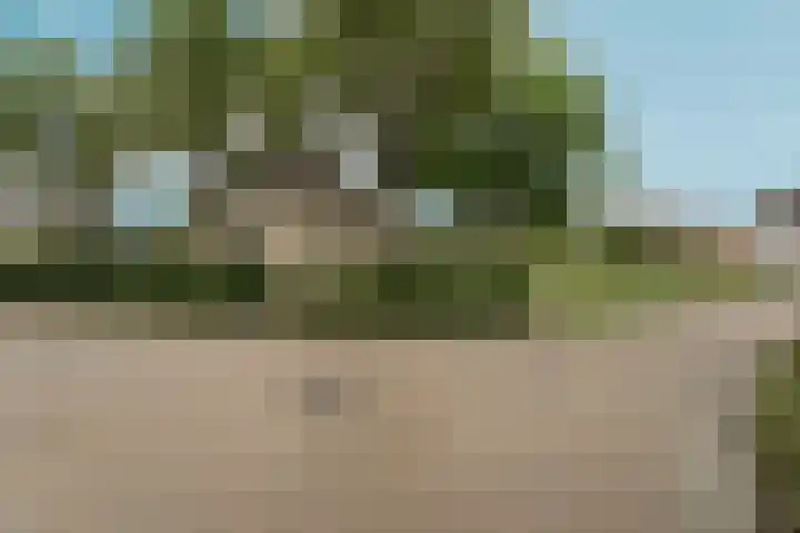 de Garde 10 Zelhem thumbnail 54