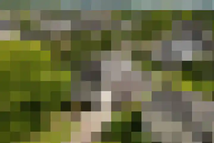 de Garde 10 Zelhem thumbnail 56