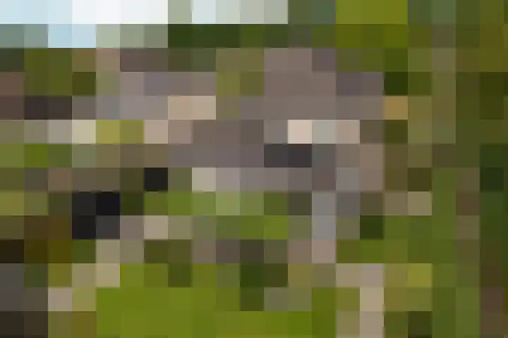de Garde 10 Zelhem thumbnail 58