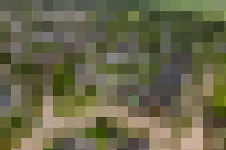 de Garde 10 Zelhem thumbnail 60