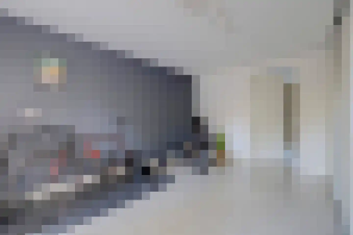 de Garde 3 Zelhem thumbnail 20