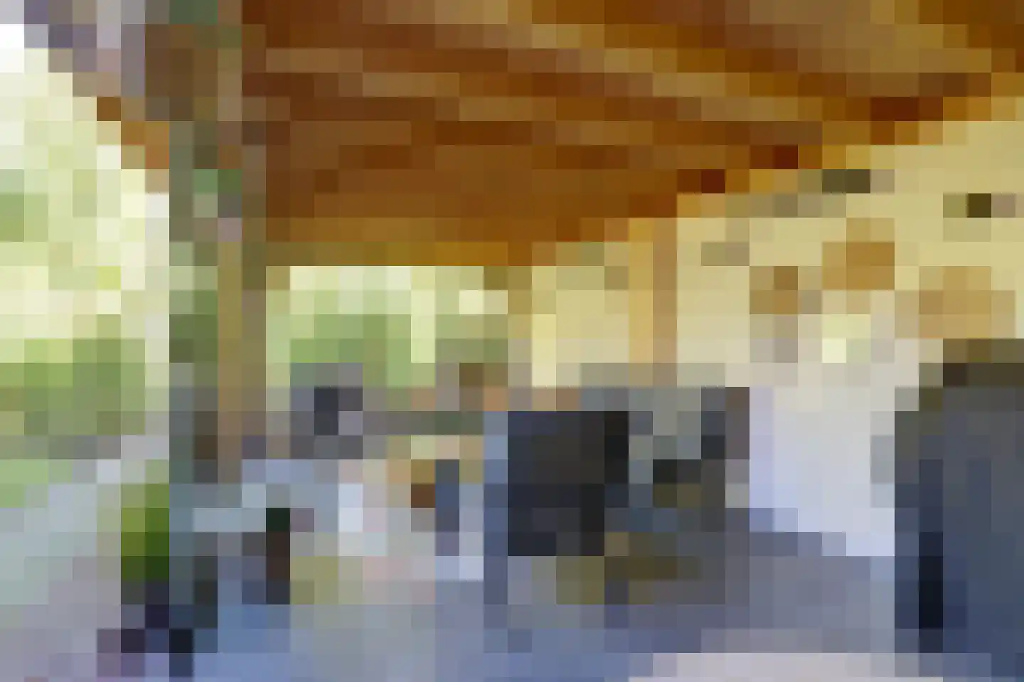 de Garde 3 Zelhem thumbnail 36