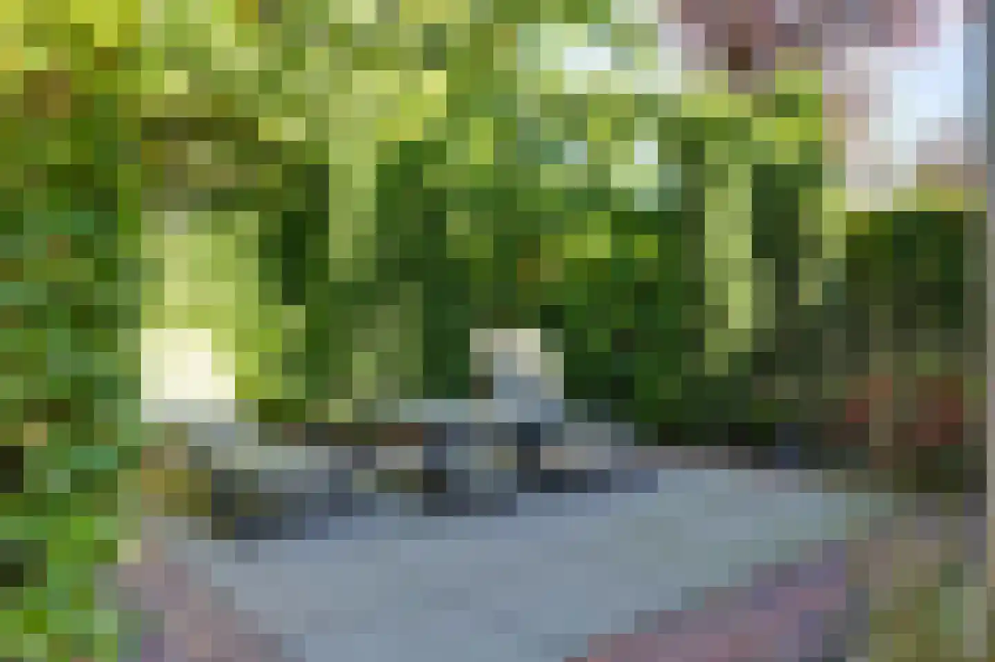 de Garde 3 Zelhem thumbnail 43
