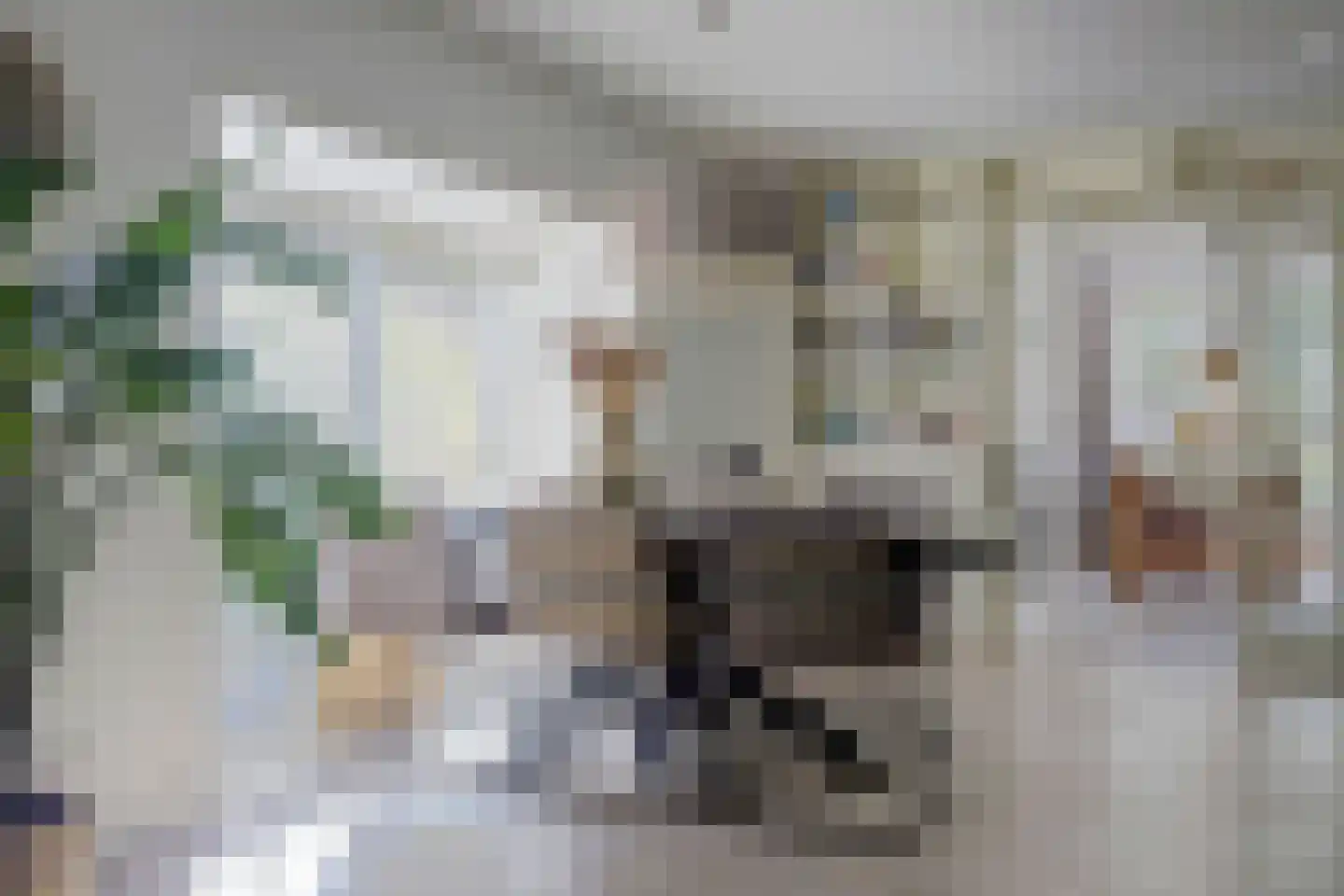 de Garde 3 Zelhem thumbnail 8