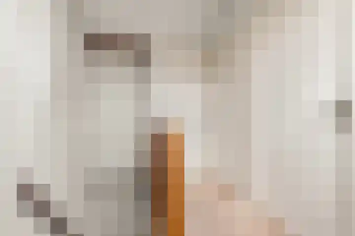 De Garf 21 Malden thumbnail 32