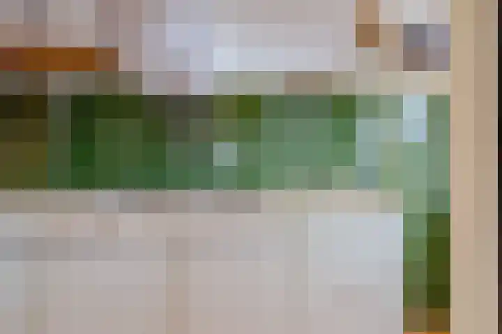 De Garnekuul 22 Callantsoog thumbnail 11