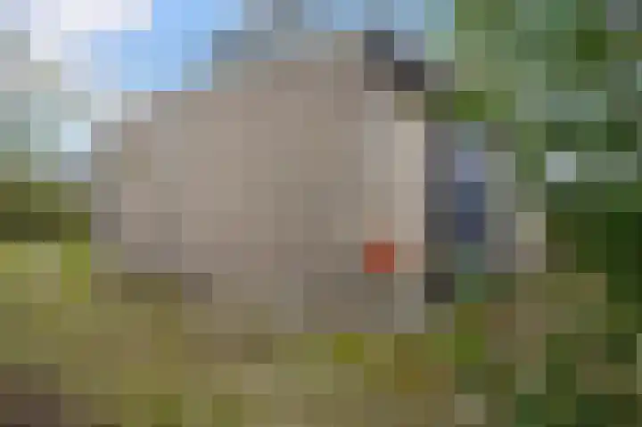 De Garnekuul 22 Callantsoog thumbnail 19