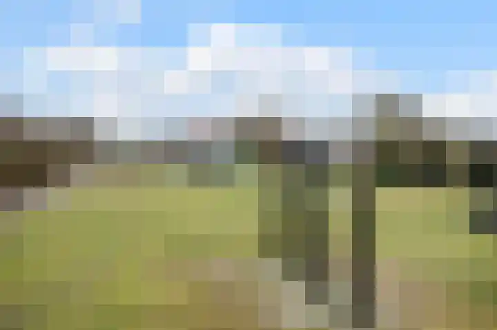De Garnekuul 22 Callantsoog thumbnail 23