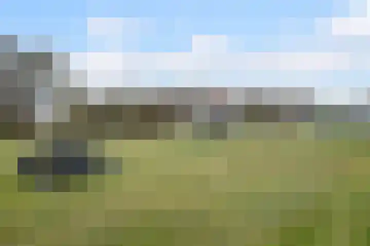 De Garnekuul 22 Callantsoog thumbnail 24
