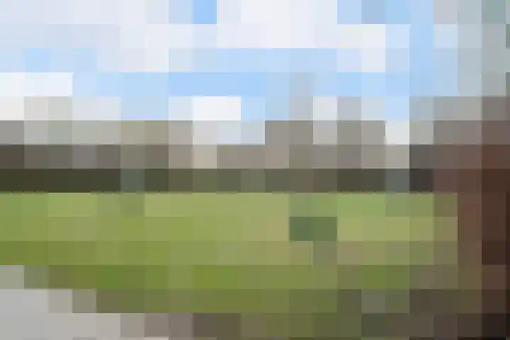 De Garnekuul 22 Callantsoog thumbnail 25