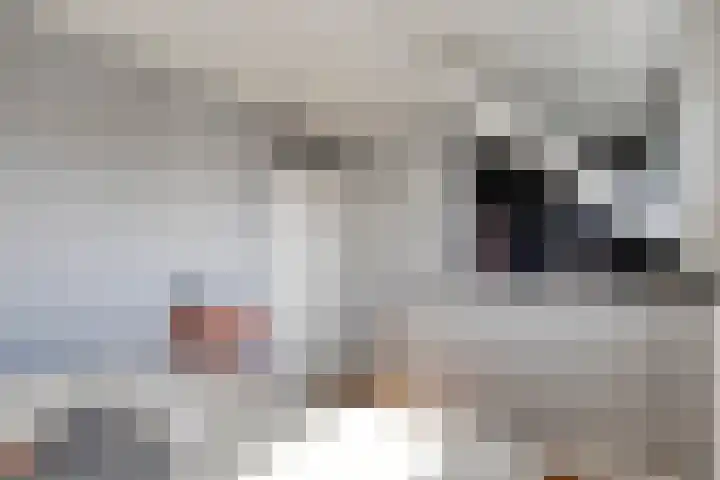 De Garonne 3 Drunen thumbnail 17