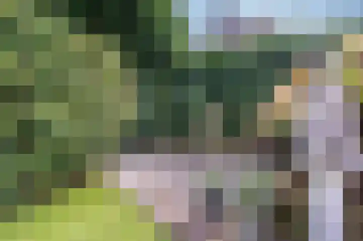 De Garven 21 Klijndijk thumbnail 33