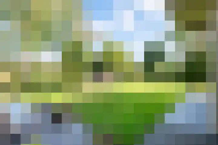 De Garven 21 Klijndijk thumbnail 37