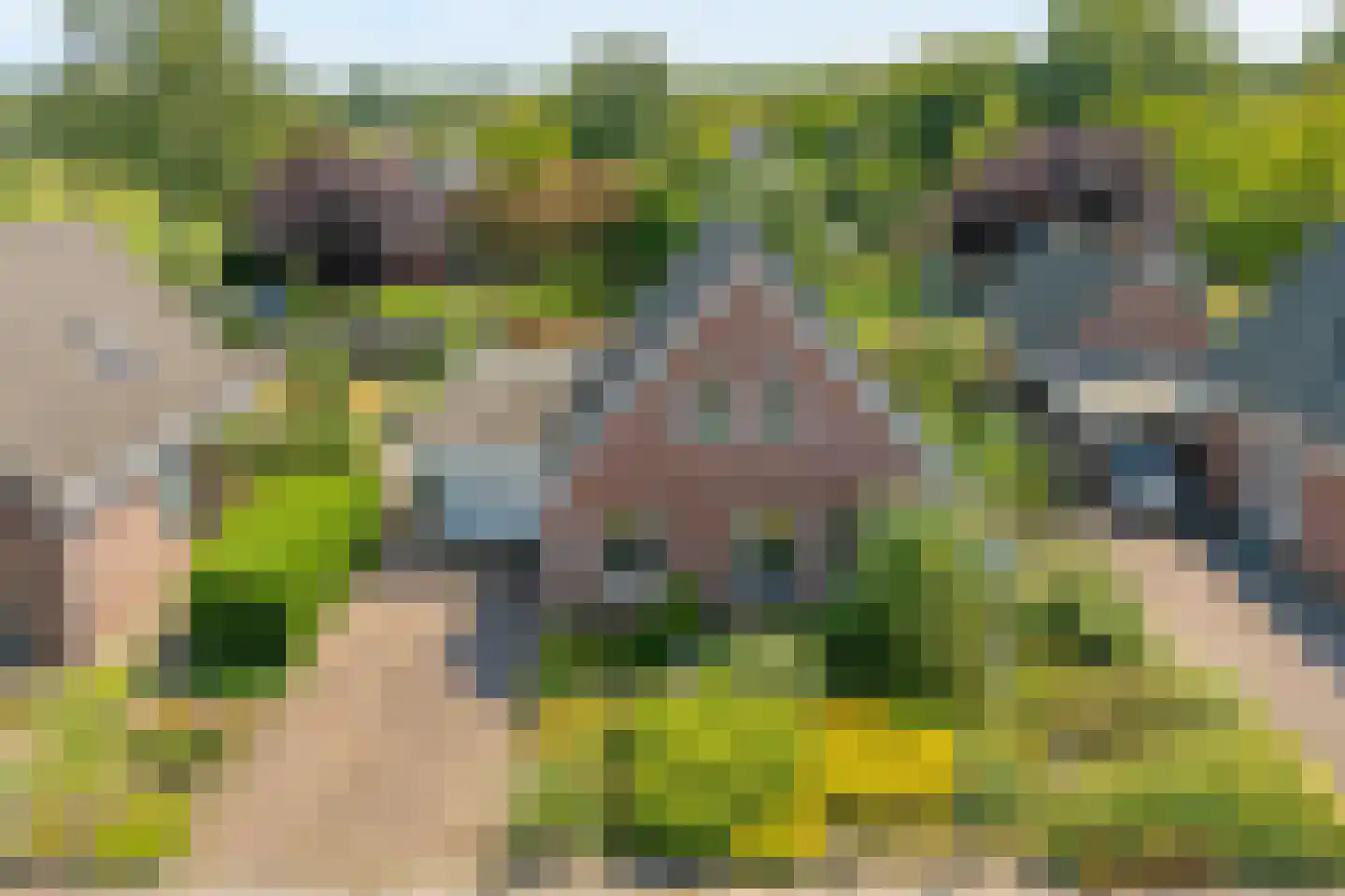 De Garven 25 Klijndijk