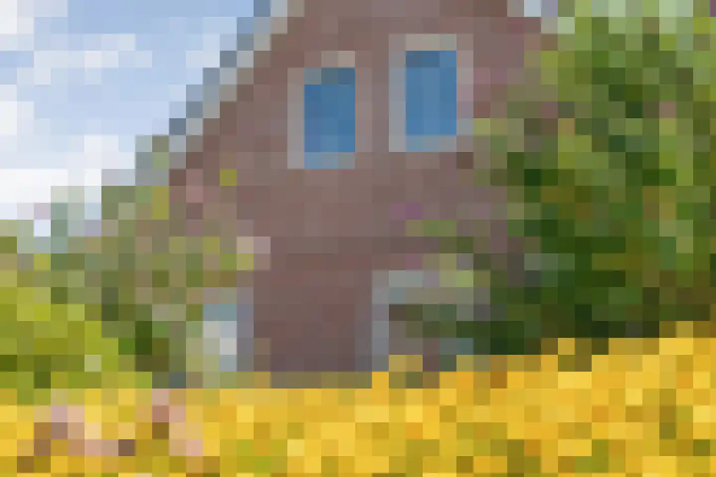 De Garven 25 Klijndijk thumbnail 8