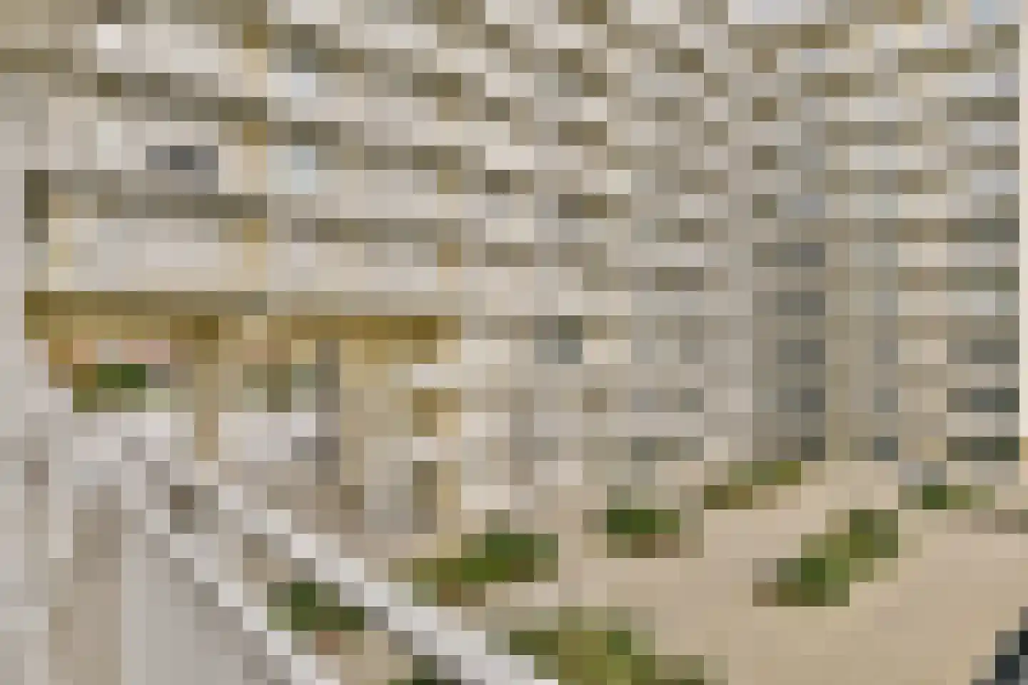 De Gashouder 32 Zaandam thumbnail 29