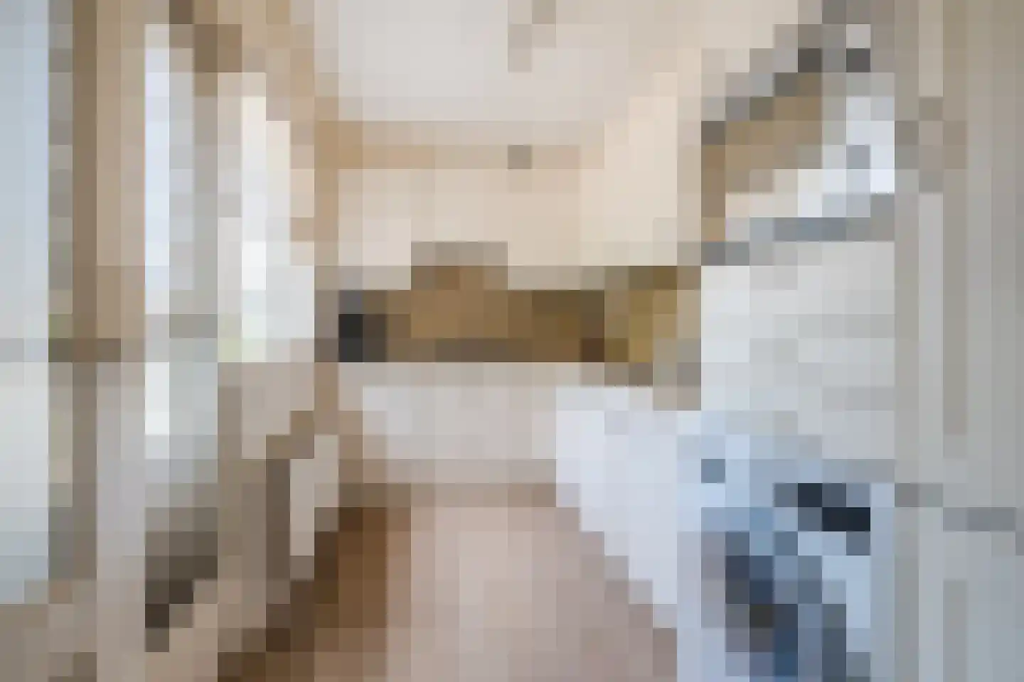 De Gaspeldoorn 13 Bladel thumbnail 11