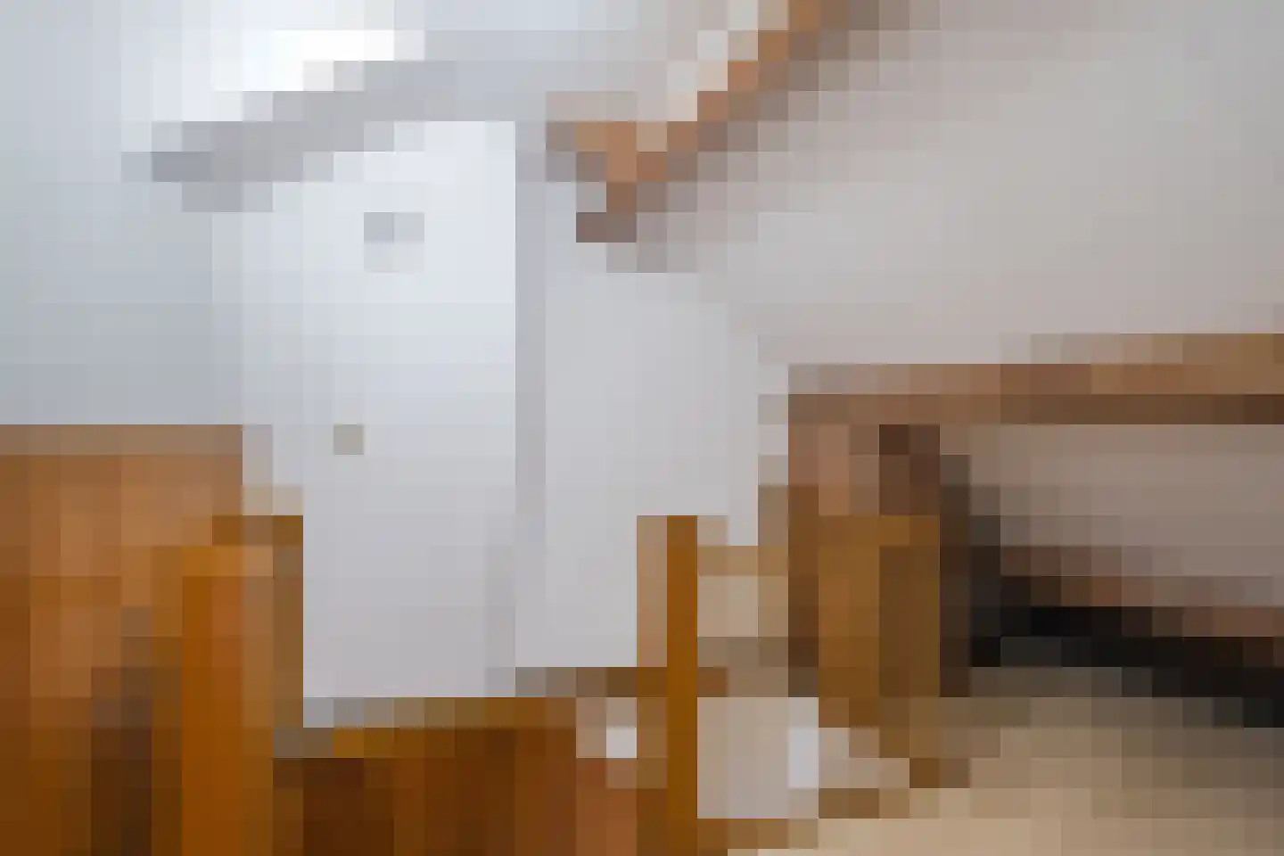 De Gaspeldoorn 13 Bladel thumbnail 21