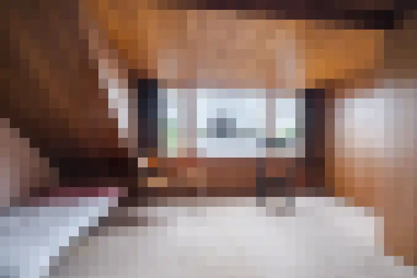 De Gaspeldoorn 13 Bladel thumbnail 23