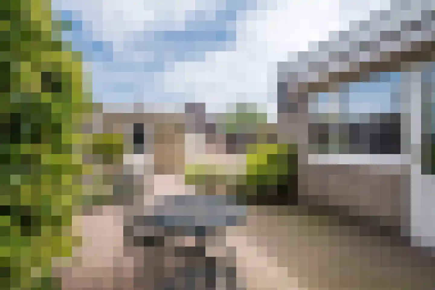 De Gaspeldoorn 13 Bladel thumbnail 25