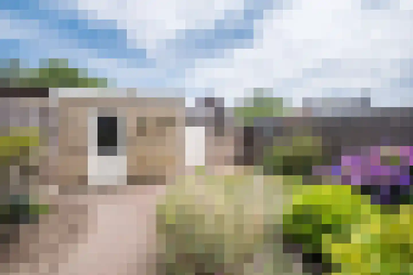 De Gaspeldoorn 13 Bladel thumbnail 27