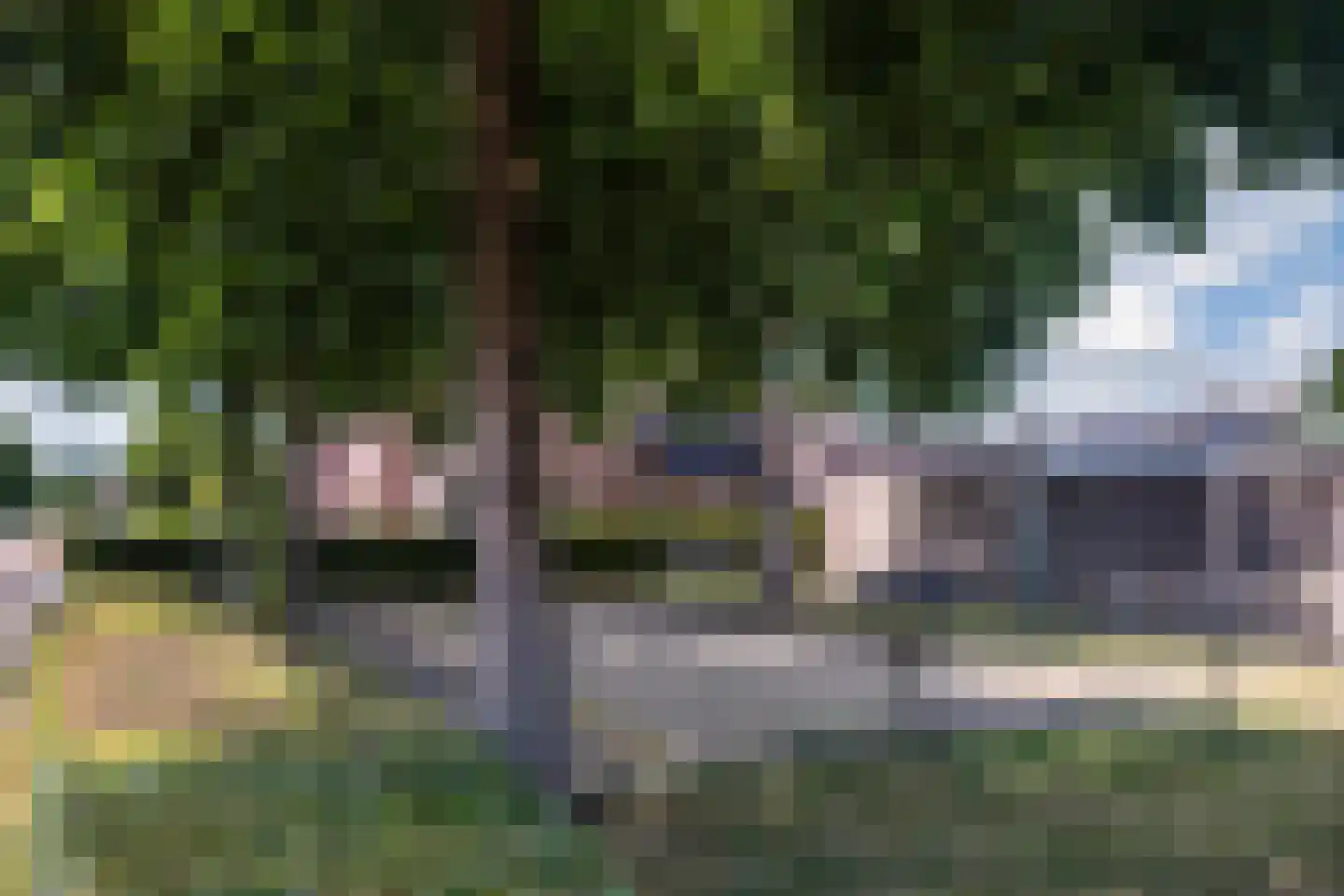 De Gaspeldoorn 13 Bladel thumbnail 33