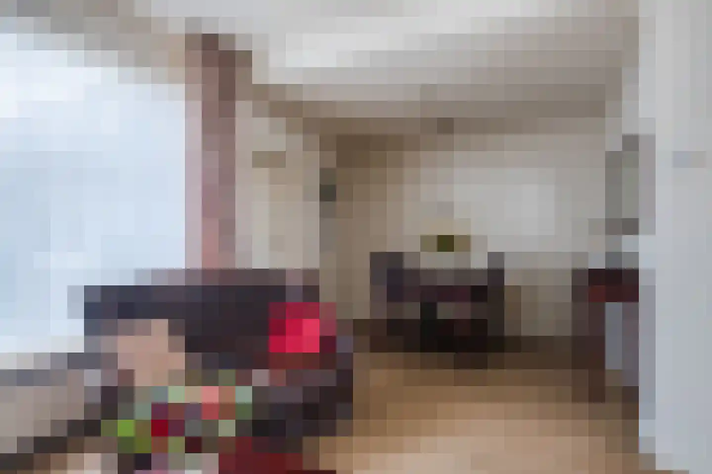 De Gaspeldoorn 13 Bladel thumbnail 9
