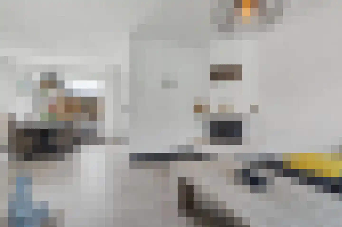 De Gaspeldoorn 6 Bladel thumbnail 10