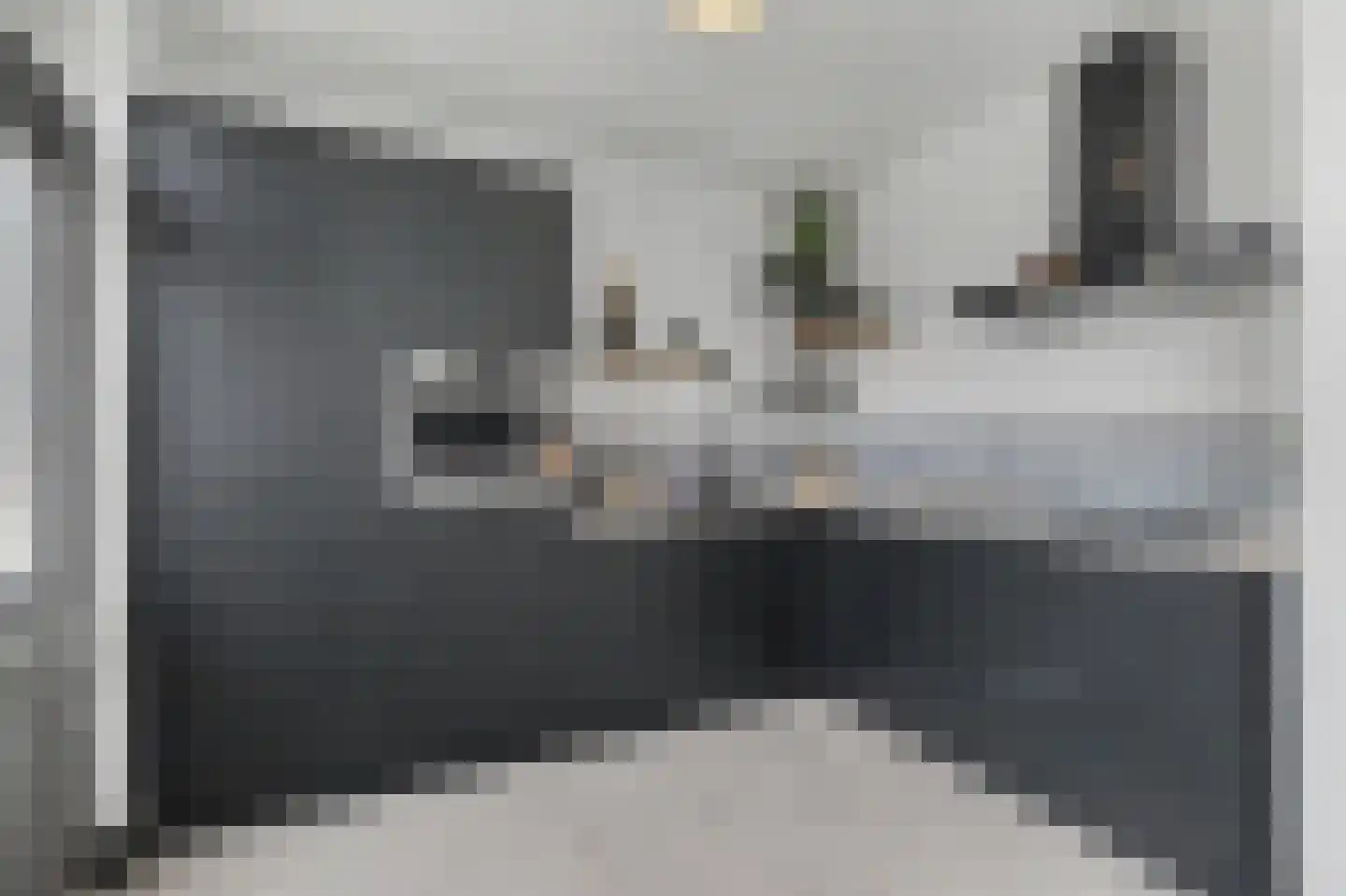 De Gaspeldoorn 6 Bladel thumbnail 12