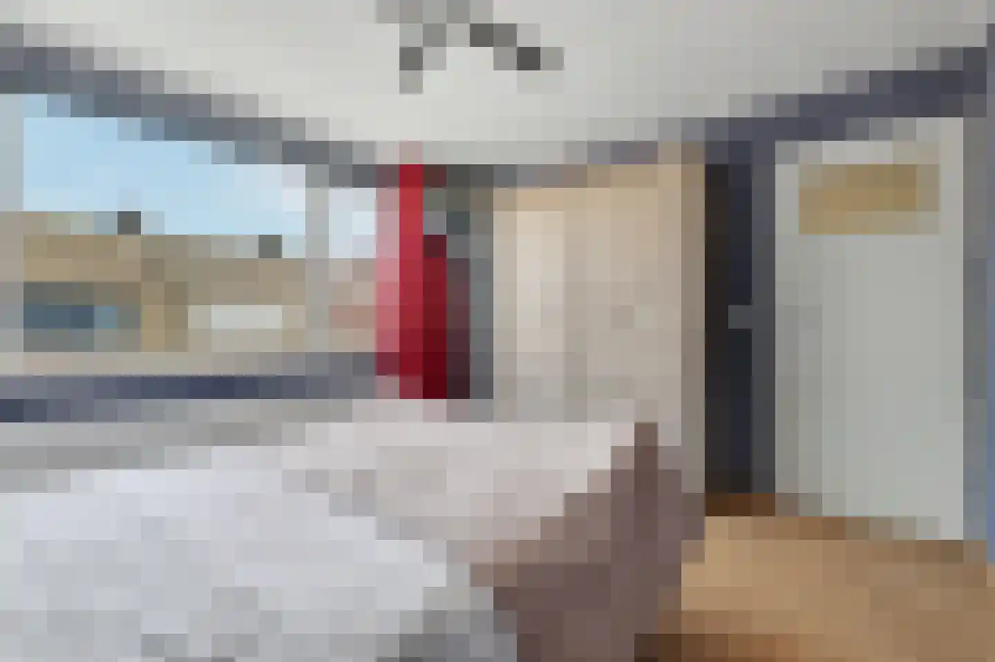De Gaspeldoorn 6 Bladel thumbnail 17