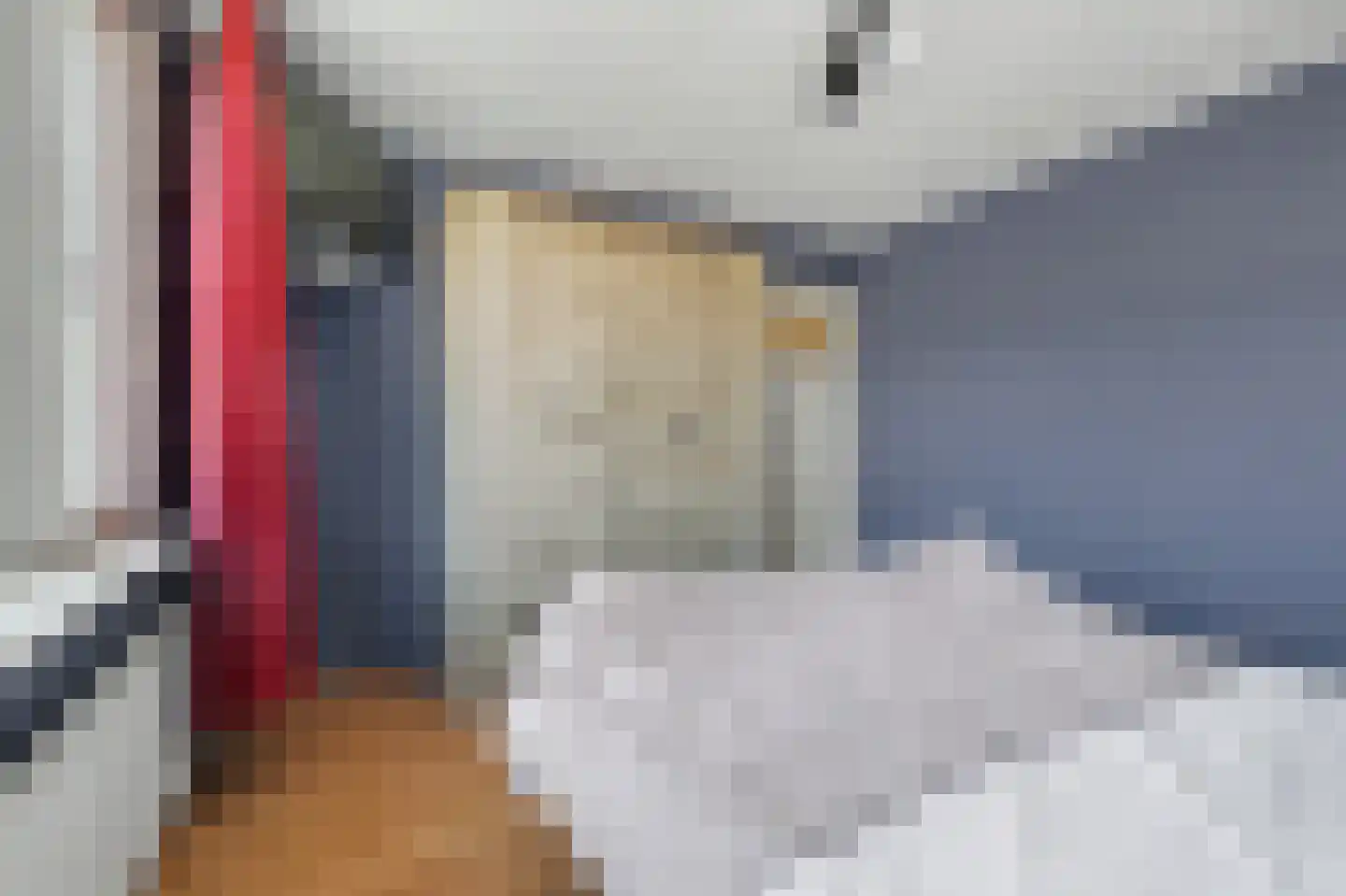 De Gaspeldoorn 6 Bladel thumbnail 18