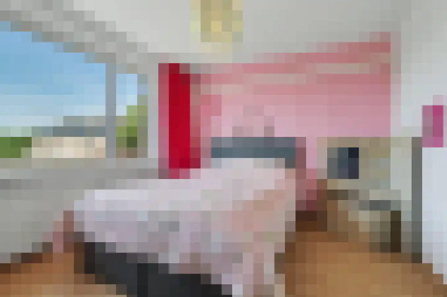 De Gaspeldoorn 6 Bladel thumbnail 19
