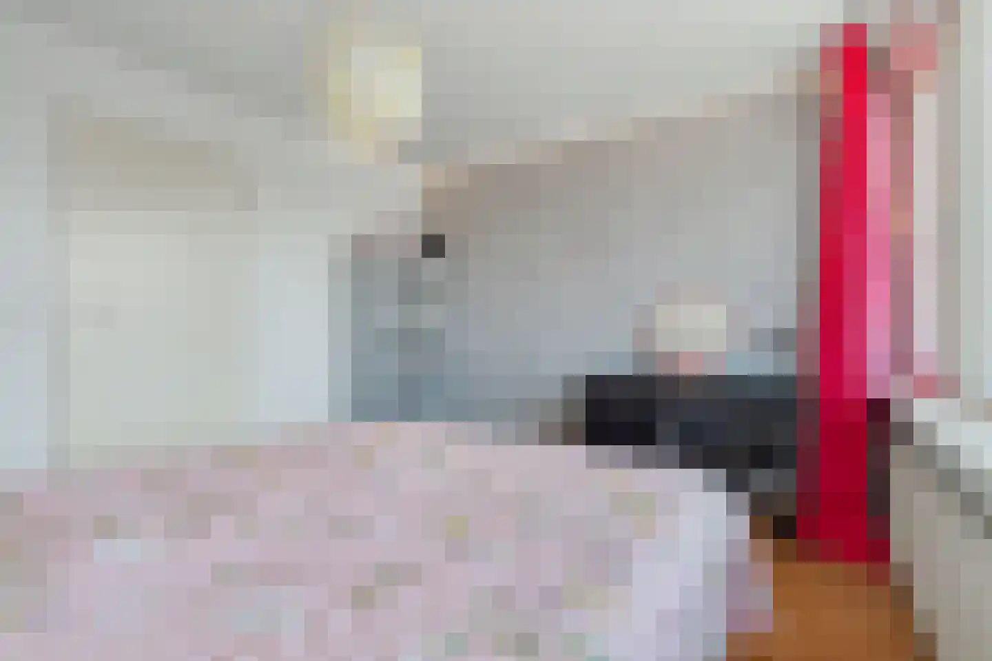 De Gaspeldoorn 6 Bladel thumbnail 20