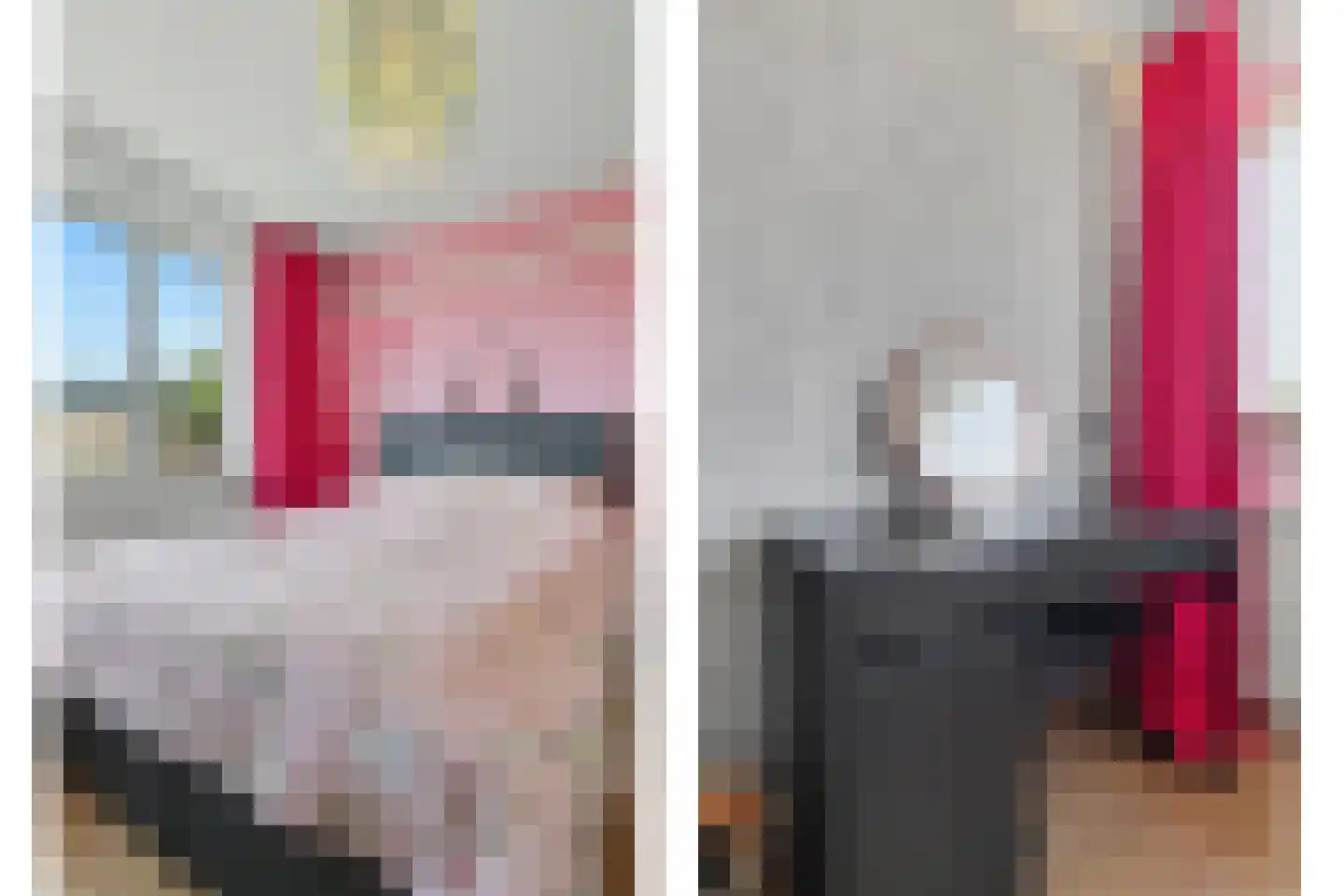 De Gaspeldoorn 6 Bladel thumbnail 21