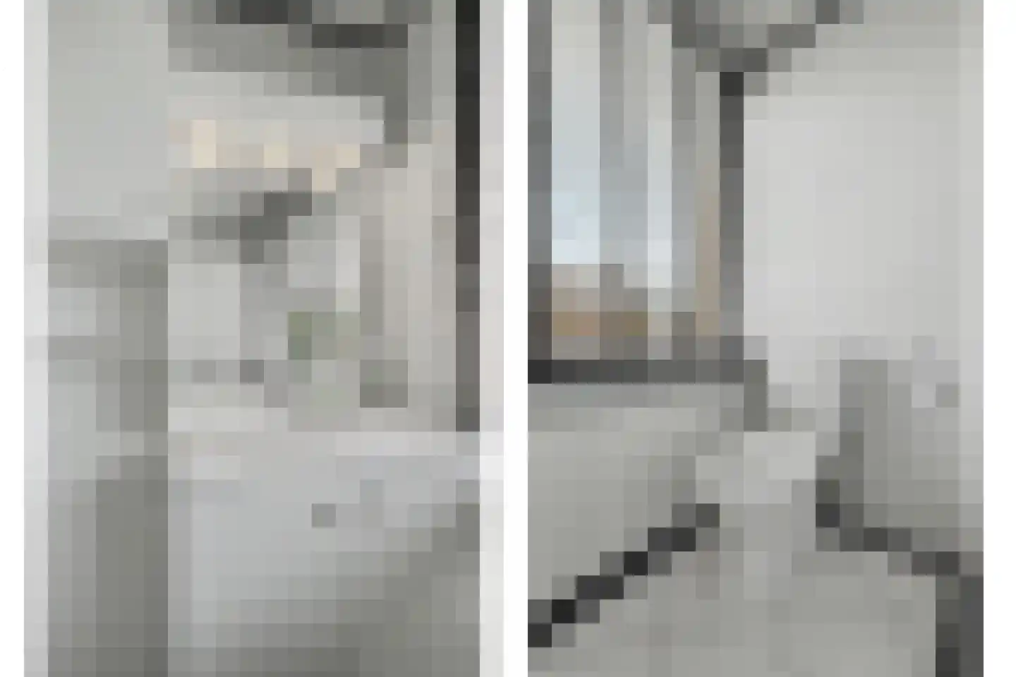 De Gaspeldoorn 6 Bladel thumbnail 28