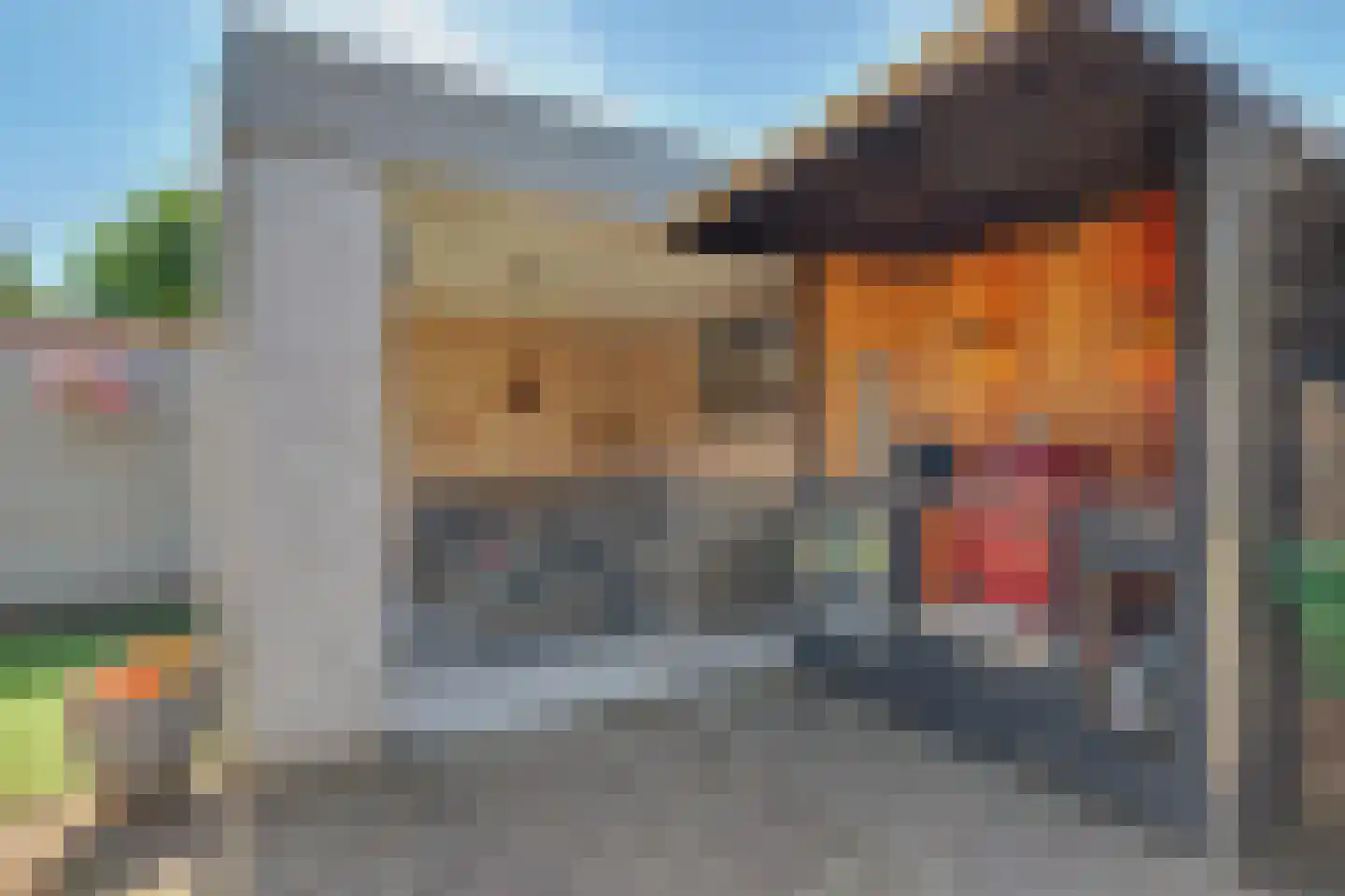 De Gaspeldoorn 6 Bladel thumbnail 37