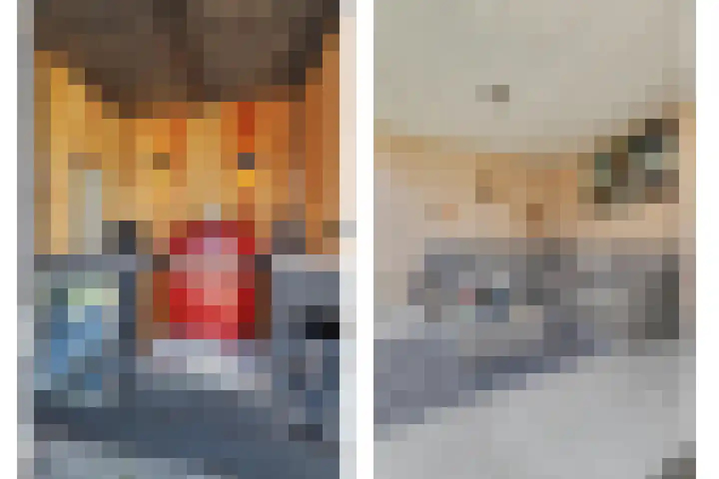 De Gaspeldoorn 6 Bladel thumbnail 38