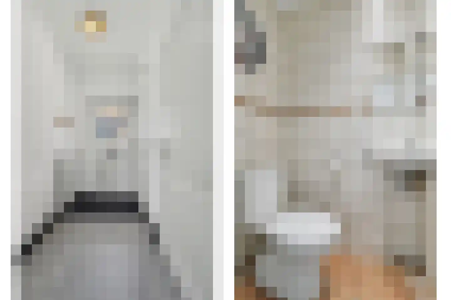 De Gaspeldoorn 6 Bladel thumbnail 4