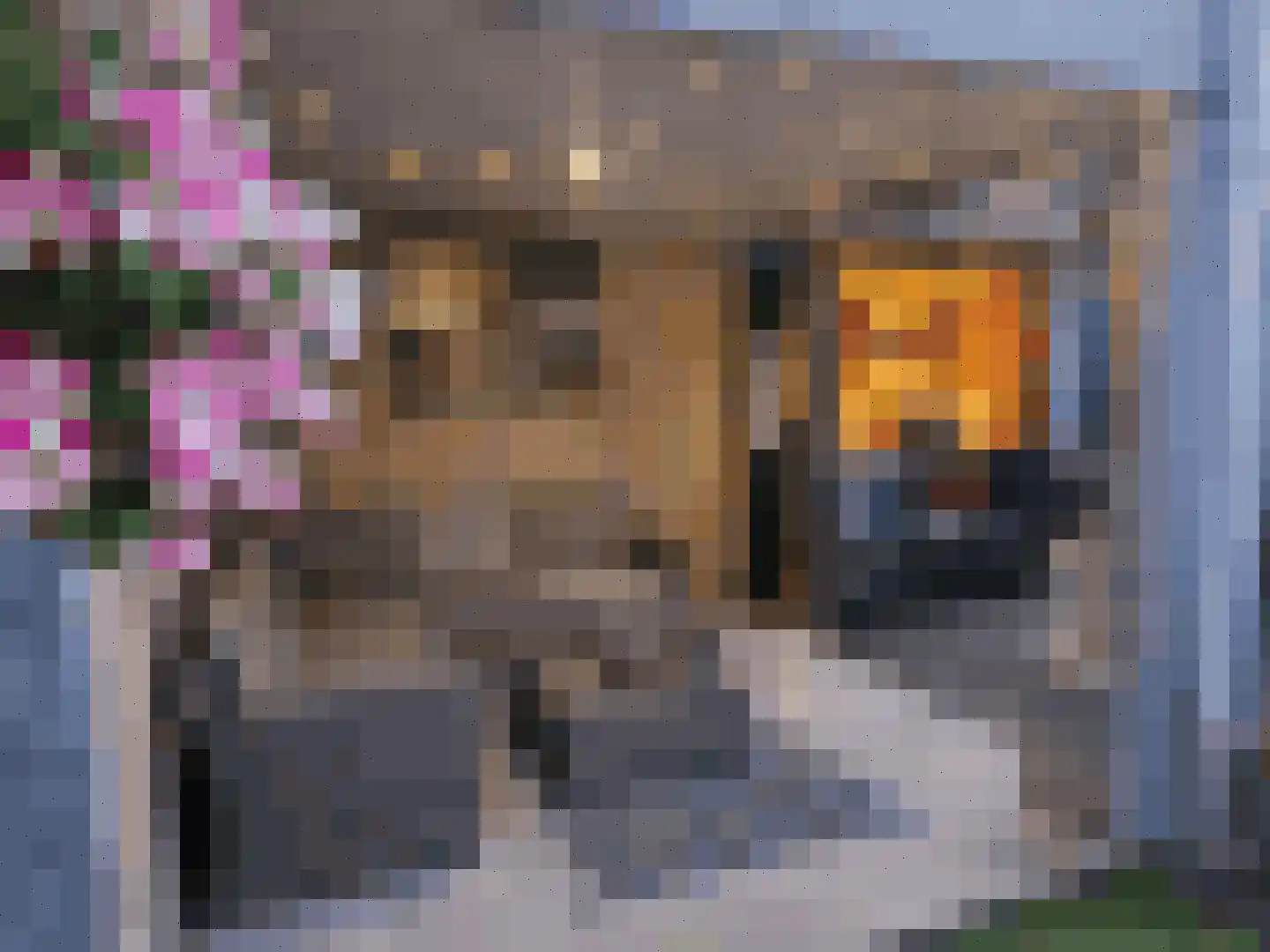 De Gaspeldoorn 6 Bladel thumbnail 40
