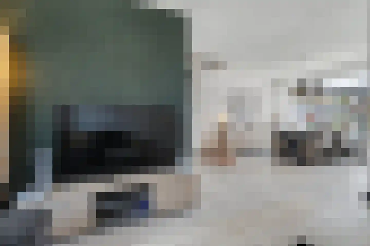 De Gaspeldoorn 6 Bladel thumbnail 7