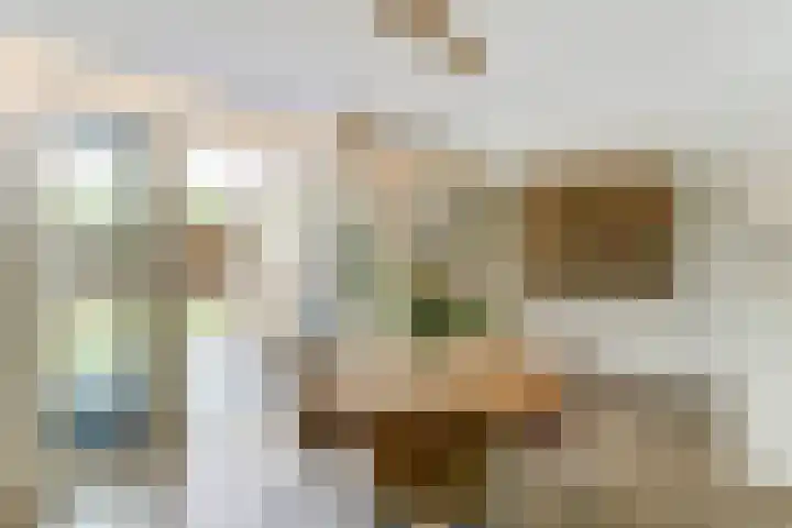 De Gaspeldoorn 9 Bladel thumbnail 11