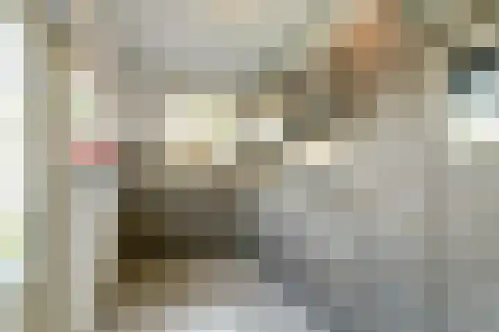 De Gaspeldoorn 9 Bladel thumbnail 15