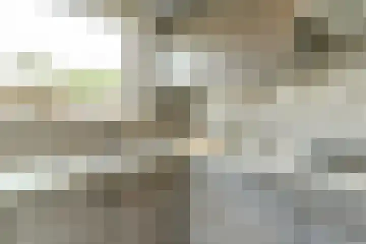 De Gaspeldoorn 9 Bladel thumbnail 16