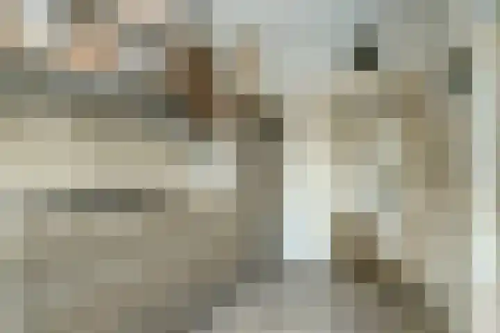 De Gaspeldoorn 9 Bladel thumbnail 17